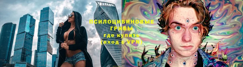 Галлюциногенные грибы Magic Shrooms  mega маркетплейс  Вичуга 